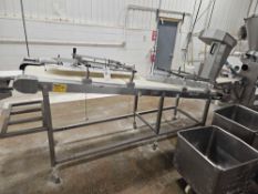 Incline Conveyor With Dough Forming Guides