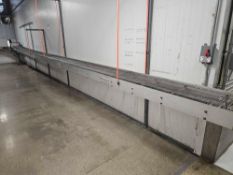 Chain Conveyor
