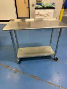 Stainless Steel Working Table with Casters