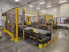 Fanuc M-710iC plus Robotic Palletizing and Case Packing System