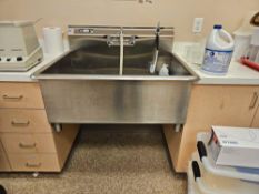 Stainless Steel Sink and Fixture