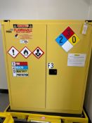 Securall Safety Storage Cabinet