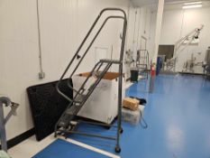 Rolling Platform Ladder
