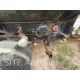 2004 Peterbilt 385 T/A Fuel Truck - Image 13 of 24