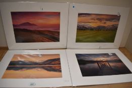 A selection of mounted countryside photographic prints and hand coloured political adverts.