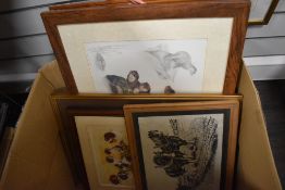A carton of assorted animal themed pictures and prints including otters.