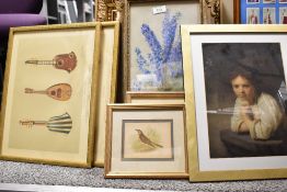 A selection of prints, including still life and wildlife interest.