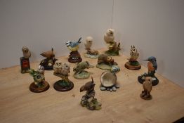 A collection of fourteen bird and animal studies, to include Border Fine Arts, Teviotdale, Royal