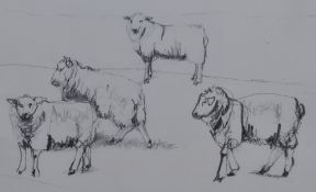 Dido Crosby MRSS (b.1961, British), pencil on paper, '4 Sheep Romney', signed and dated '7.9.01'