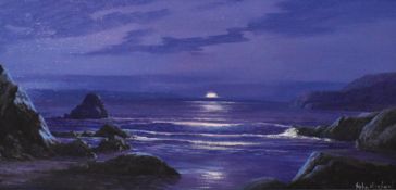 John Michael (20th Century), oil on board, A moonlit coastal landscape with rocks to the foreground,