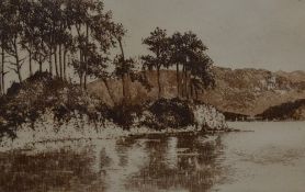 *Lake District Interest - After C. Dickens (19th/20th Century), sepia tone etching, 'Derwent Water',