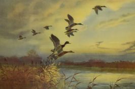 After John Cyril Harrison (1898-1985, British), coloured print, 'Mallard Rising From A Reed Bed',