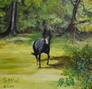Sue Wearing (Contemporary, British), acrylic on canvas, 'Cuba' and a scene depicting horse in field,