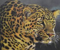 A folder of art, to include a leopard print, a monochrome print of the South West Prospect of