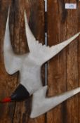Guy Taplin (b.1938, British), A Common Tern, original, painted wood and gesso, mounted on a