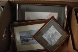 A carton of four assorted pictures and prints including mushrooms after CH Chadwick etc.