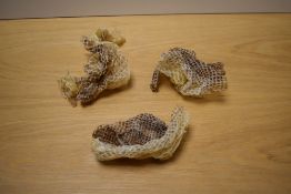 A small mass of shedded snake skin