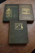 Children's and Illustrated. Arthur Rackham. Three titles - Little Brother & Little Sister (1917,