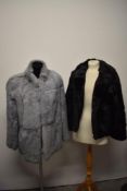 Two rabbit fur coats, one grey and the other black.