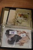A small collection of vintage postcards, many Labrador themed and a small selection of cigarette