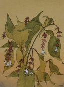 John Mounsey (20th Century), pen and wash, 'Leycesteria', initials to the lower right and dated