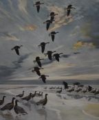 After Peter Scott (1909-1989, British), coloured print, Pink feet coming out to roost, framed,