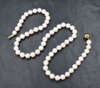 A string of cultured pearls of even form having 9ct gold spherical ball and tongue clasp approx 18'