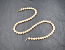 A string of cultured pearls of even form with a yellow metal box clasp, approx 16'