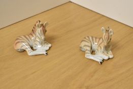 A pair of USSR Russian Lomonosov porcelain animal figures, formed as zebra foals laying down, one