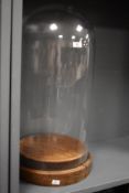 A late 19th/early 20th Century glass display dome raised upon a stepped oak base, measuring 70cm
