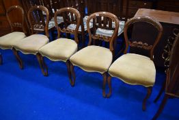 A set of five Victorian mahogany framed salon chairs havung balloon and rail backs, later dralon