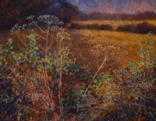 Ben Holgate (Contemporary, British), pastel, 'Ashton Fields, Lancaster', signed to the lower left,
