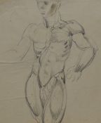 20th Century School, mixed media on paper, An assorted collection of preparatory anatomical