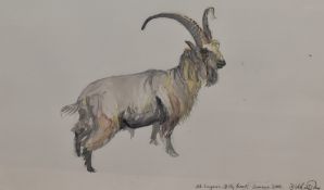 Dido Crosby (b.1961, British), watercolour, 'Old English Billy Goat', signed and dated 2002 to the