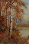 Joseph Halford Ross (1866-1909, British), watercolour, An autumnal woodland landscape depicting
