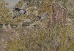 20th Century School, watercolour and gouache, Ducks in flight, signed and dated '92 to the lower