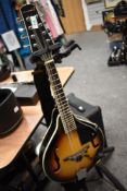 A modern mandolin, Rocket music , with later added pickup and soft stag case