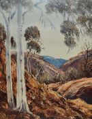 After Henk Guth (1921-2003, Dutch), coloured print, 'Ghost Gums', framed and under glass,