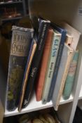 An mall selection of books of various genres including Margaret Holland-Silver, An Illustrated Guide