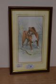 A watercolour picture of a handsome Boxer dog signed DH to bottom right.
