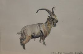 Dido Crosby (b.1961, British), watercolour, 'Old English Billy Goat', signed and dated 2002 to the