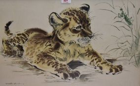 After Ralph Thompson (1913-2009, British), coloured lithograph, Tiger cub, framed and under glass,