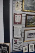 A 20th Century poster print depicting Sea Fish, framed and under glass, measuring 43cm x 53cm