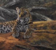 After Anthony Gibbs (b.1951, British), coloured lithograph, 'Dawn's First Scent', a resting leopard,