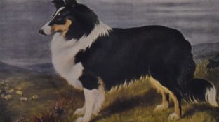 An assorted collection of reproduction prints, including dog illustrations from Cassell's 'New