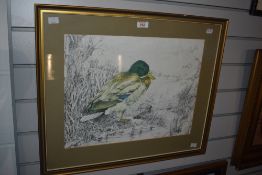 After Trudy Friend (b.1945, British), coloured print, A Mallard duck, framed, mounted, and under