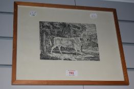 After Thomas Bewick (1753-1828, British), print of a woodblock engraving, 'Chillingham Bull', framed