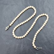 A single row of cultured pearls having a cream to champagne lustre with a silver clasp set with a