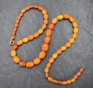 A string of graduated butterscotch beads presumed to be amber and copal, 64cm