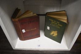 Two vintage books, Birds of the British Isles-Drawn and described by John Duncan and Crighton by